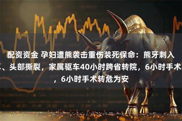 配资资金 孕妇遭熊袭击重伤装死保命：熊牙刺入右眼左耳、头部撕裂，家属驱车40小时跨省转院，6小时手术转危为安