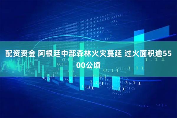 配资资金 阿根廷中部森林火灾蔓延 过火面积逾5500公顷